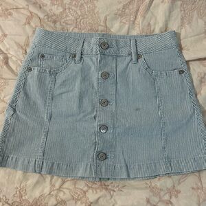 Striped Blue Skirt